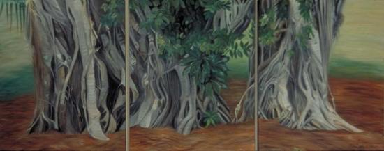 trees with exposed roots